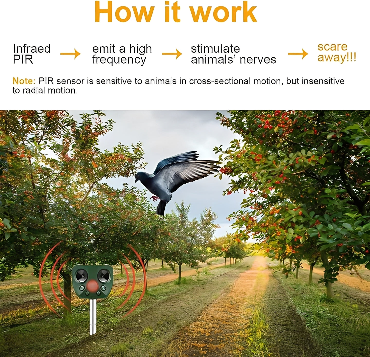 Ultraschall-Vogel- und Schädlingabwehrgerät mit Bewegungssensor