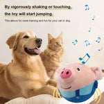 Interaktiver Spielball für Hunde mit Musik und Bewegung