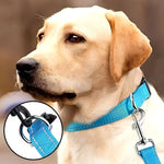 Verstellbarer Nylon-Hundehalsband mit Sicherheitsverschluss