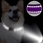 Verstellbarer Nylon-Hundehalsband mit Sicherheitsverschluss