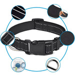 Verstellbares Nylon-Hundehalsband mit Clipverschluss