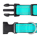 Verstellbares Nylon-Hundehalsband mit Clipverschluss