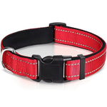 Verstellbares Nylon-Hundehalsband mit Clipverschluss