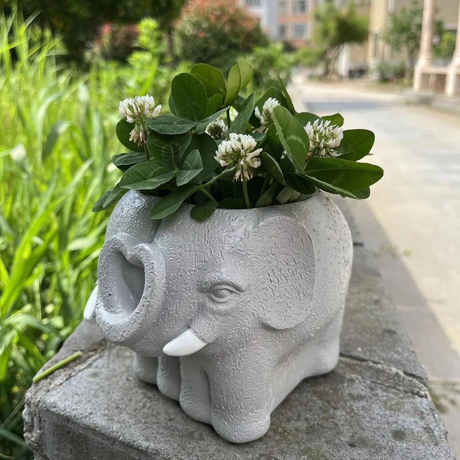 Kreativer Blumentopf für Sukkulenten und stilvolle Dekoration