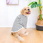 Leichtes Baumwoll-T-Shirt für Hunde im Sommer