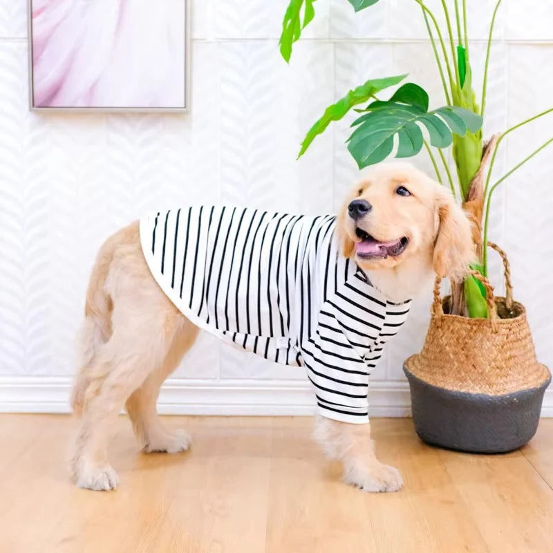 Leichtes Baumwoll-T-Shirt für Hunde im Streifenlook