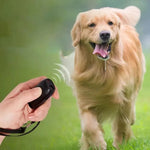 Ultraschall-Abwehrgerät mit LED-Beleuchtung für Hunde