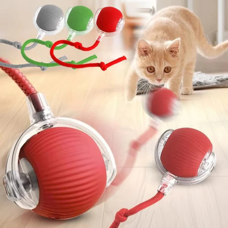 Automatisches Katzen-Spielzeug mit Beweglichem Schwanz
