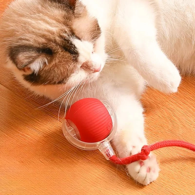 Automatisches Katzen-Spielzeug mit Beweglichem Schwanz