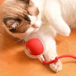 Automatisches Katzen-Spielzeug mit beweglichem Schwanz