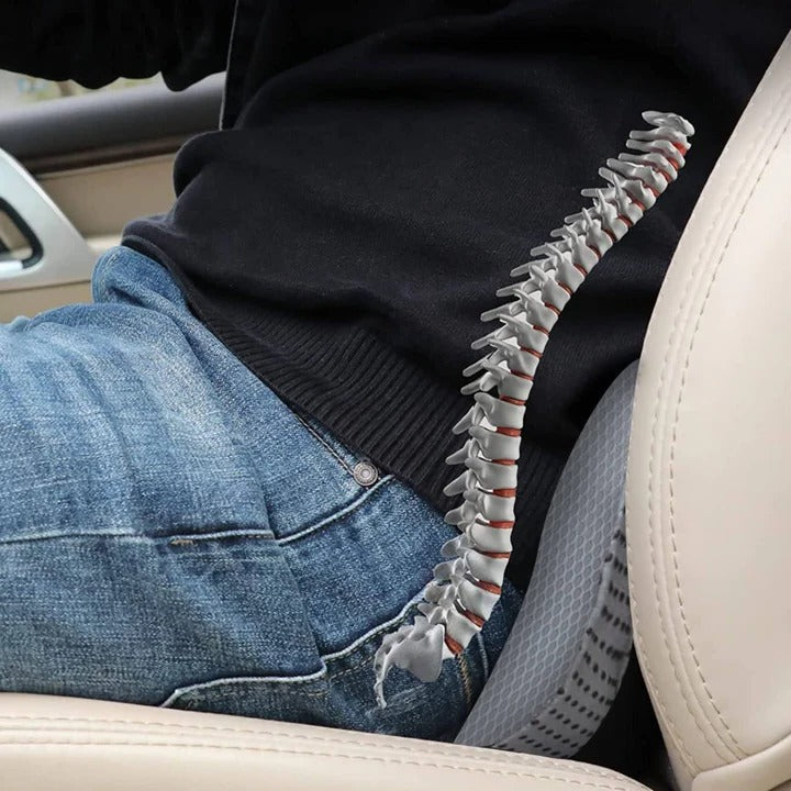 Ergonomisches Autositzelement für besseren Sitzkomfort und Höhe
