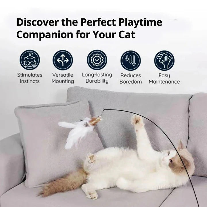 Katzen-Spielzeugset mit Vögeln für aktiven Spielspaß