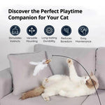 Interaktives Spielset mit Vogelspielzeugen für Katzen