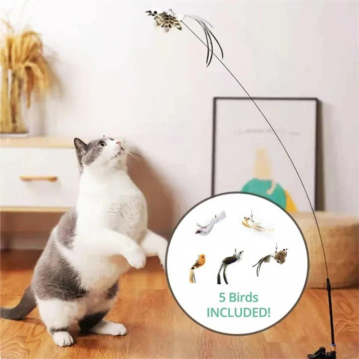 Katzen-Spielzeugset mit Vögeln für aktiven Spielspaß