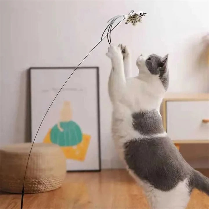 Interaktives Spielset mit Vogelspielzeugen für Katzen