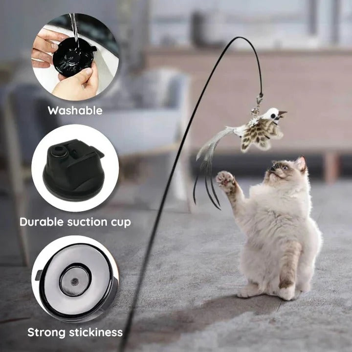 Katzen-Spielzeugset mit Vögeln für aktiven Spielspaß