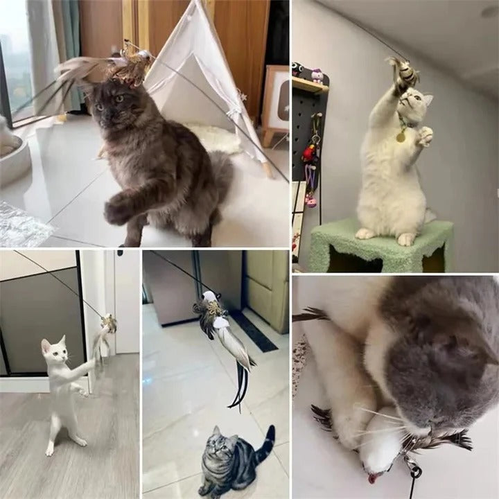 Interaktives Spielset mit Vogelspielzeugen für Katzen