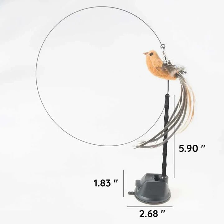 Katzen-Spielzeugset mit Vögeln für aktiven Spielspaß