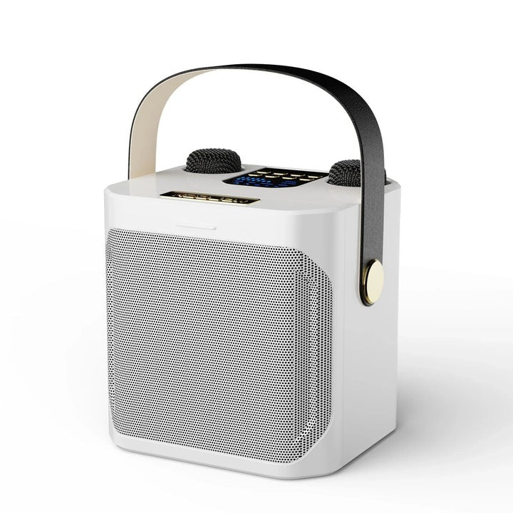 Tragbarer Bluetooth Karaoke-Lautsprecher mit Rundumklang
