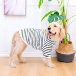 Luftiges Hundeshirt für Große Rassen aus Baumwolle