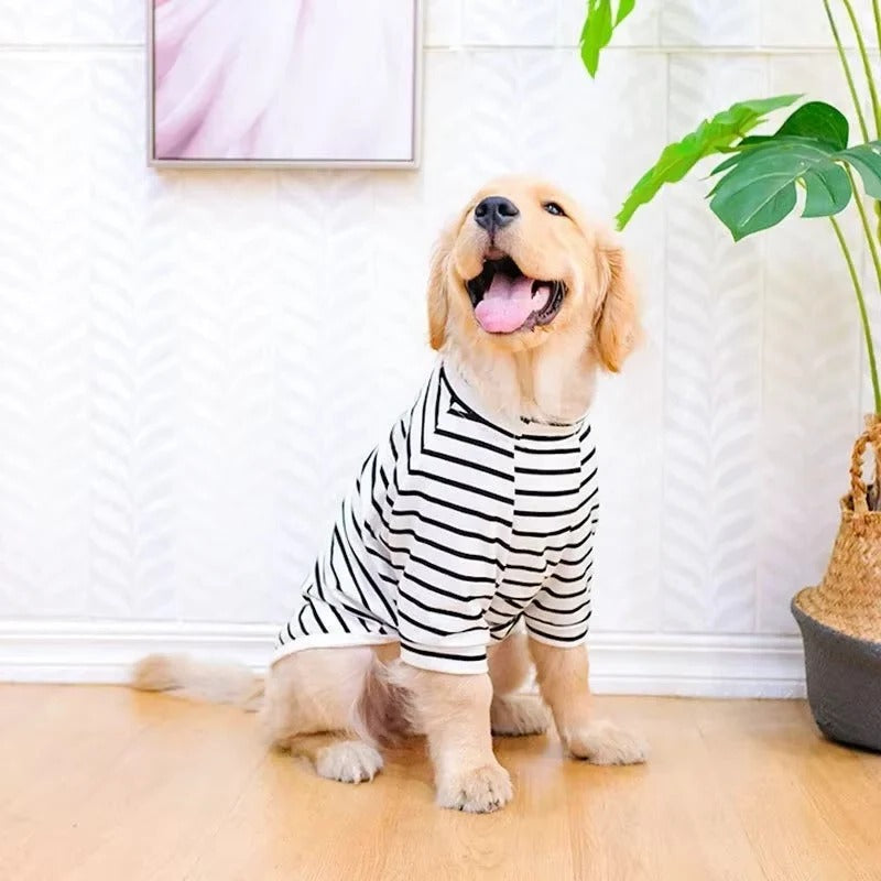 Hundeshirt für große Rassen aus atmungsaktivem Baumwollstoff