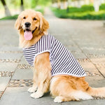Hundeshirt für große Rassen aus atmungsaktivem Baumwollstoff
