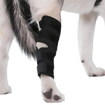 Verstellbare Hundebeinschiene für optimale Unterstützung