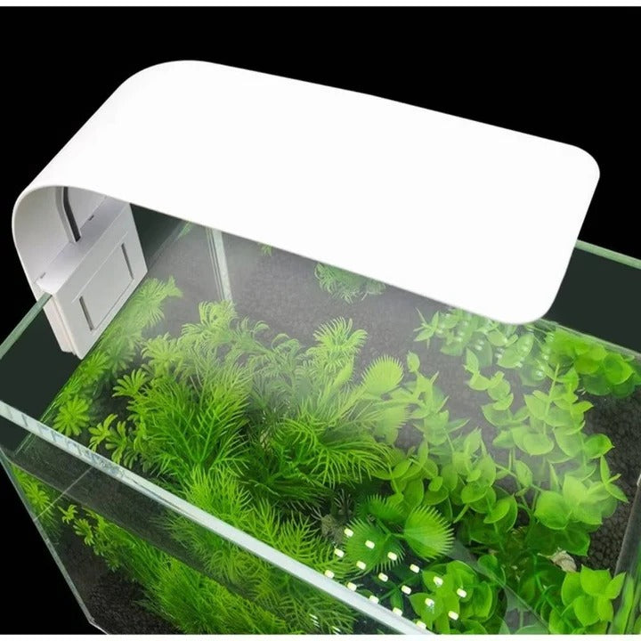 Schlanke LED-Beleuchtung für Aquarien und Pflanzen