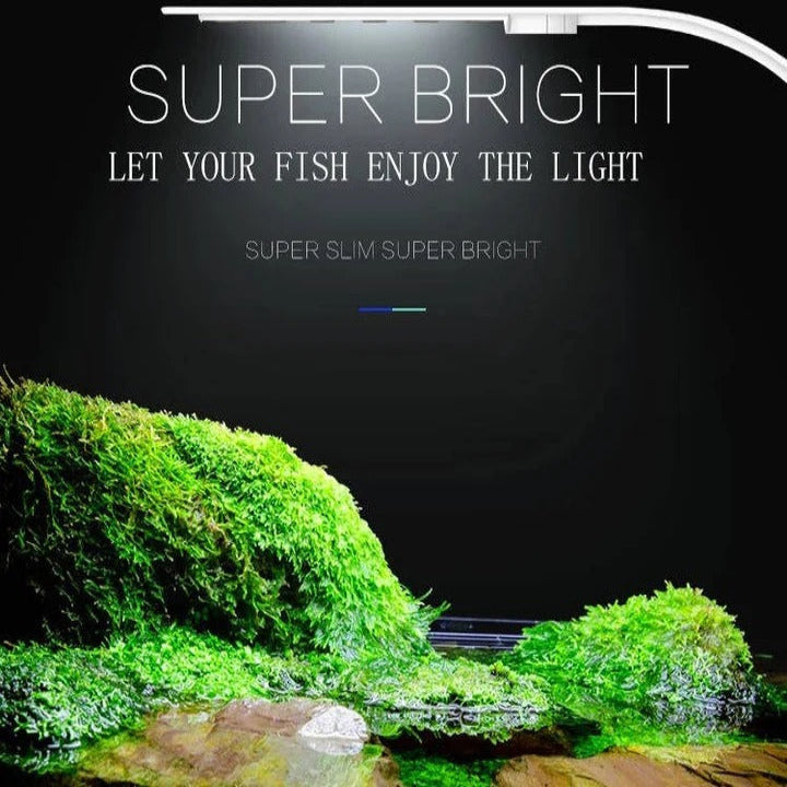 Schlanke LED-Beleuchtung für Aquarien und Pflanzen