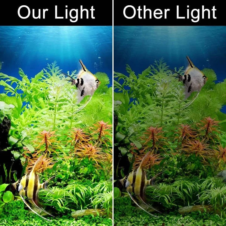 Schlanke LED-Beleuchtung für Aquarien und Pflanzen