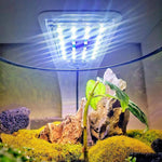 Elegante LED-Aquarienbeleuchtung für gesunde Pflanzen und Fische