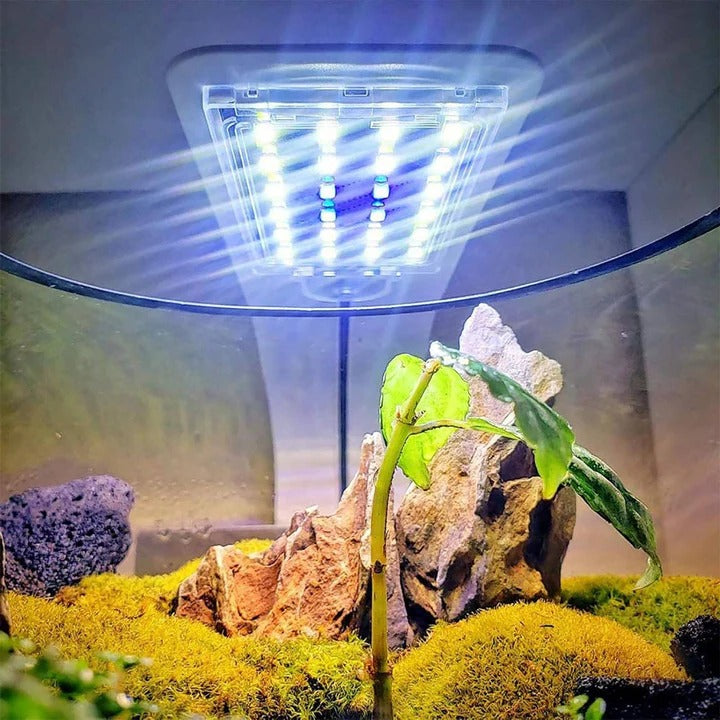 Elegante LED-Aquarienbeleuchtung für gesunde Pflanzen und Fische
