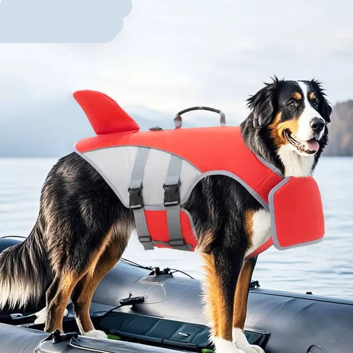 Sichere Schwimmweste für Hunde mit Auftriebshilfe