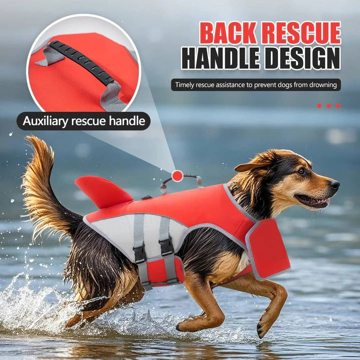 Sichere Schwimmweste für Hunde mit Auftriebshilfe