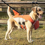Sichere Schwimmweste für Hunde mit Auftriebshilfe