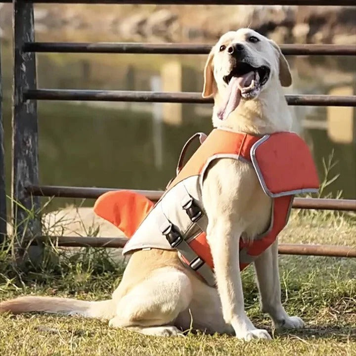 Sichere Schwimmweste für Hunde mit Auftriebshilfe