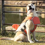 Sicherer Schwimmweste für Hunde mit Auftriebshilfe