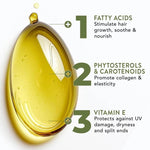 Feuchtigkeitsspendendes Haaröl mit Rosmarin und Vitamin E