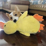 Verspieltes Enten-Squeaky-Spielzeug für Hunde mit verstärkten Nähten