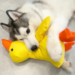 Verspieltes Enten-Squeaky-Spielzeug für Hunde mit verstärkten Nähten
