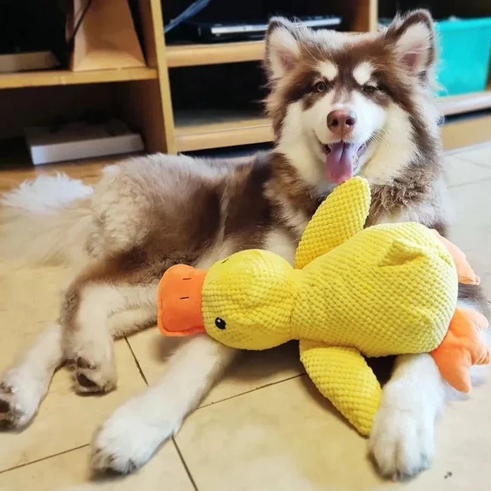 Verspieltes Enten-Squeaky-Spielzeug für Hunde mit verstärkten Nähten