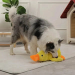Gummienten-Spielzeug für Hunde mit verstärkten Nähten