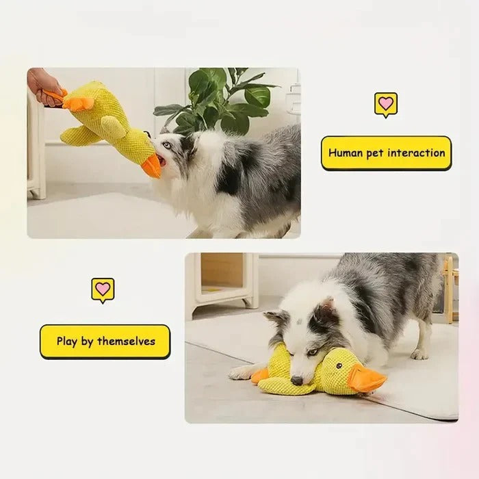 Gummienten-Spielzeug für Hunde mit verstärkten Nähten