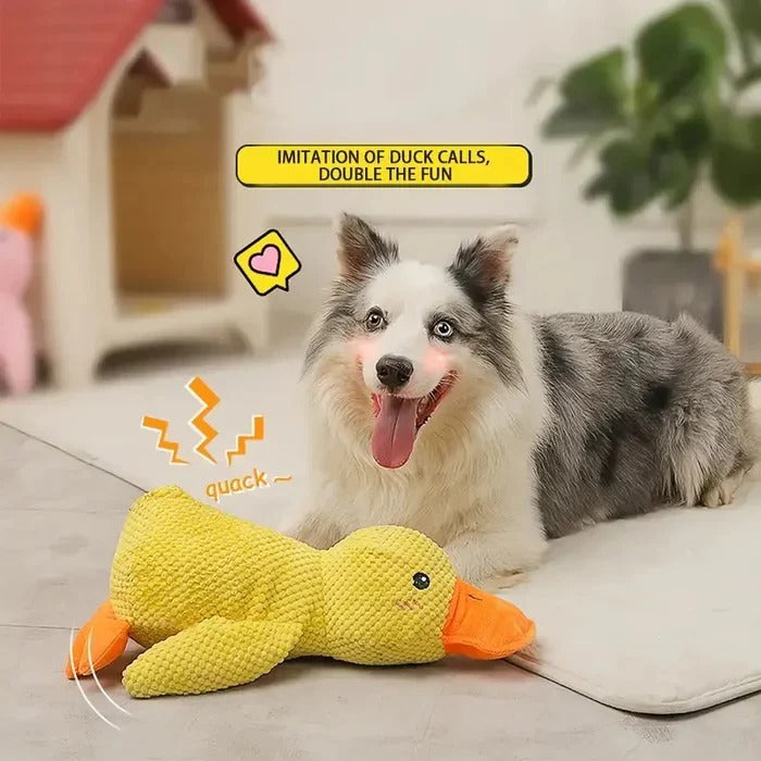 Verspieltes Enten-Squeaky-Spielzeug für Hunde mit verstärkten Nähten