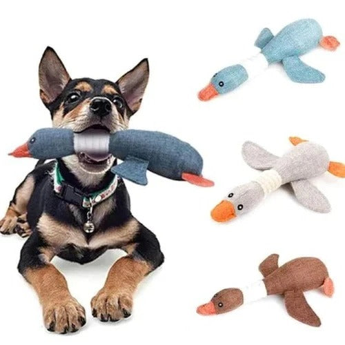 Robustes Enten-Plüschspielzeug für Hunde mit Textur