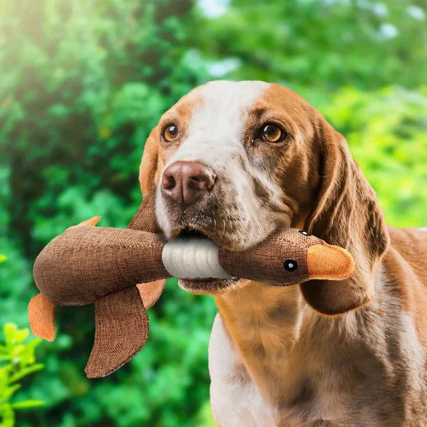 Robustes Plüschspielzeug für Hunde mit strapazierfähigem Material