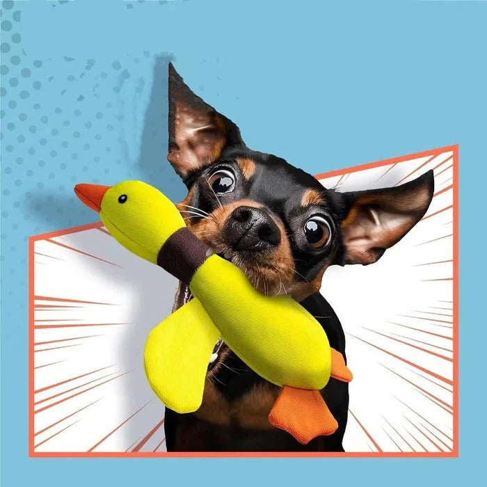 Robustes Enten-Plüschspielzeug für Hunde mit Textur