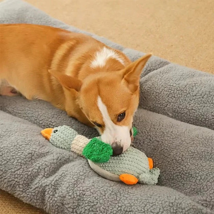 Robustes Enten-Plüschspielzeug für Hunde mit Textur