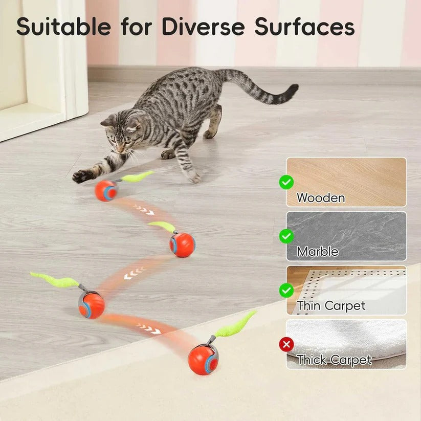 Interaktives Katzenspielzeug mit Schwanzdesign – 2er Set