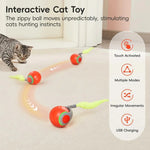 Interaktives Katzenspielzeug mit Schwanzdesign – 2er Set